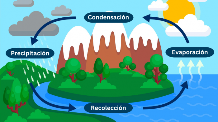 El ciclo del agua y su importancia para el planeta
