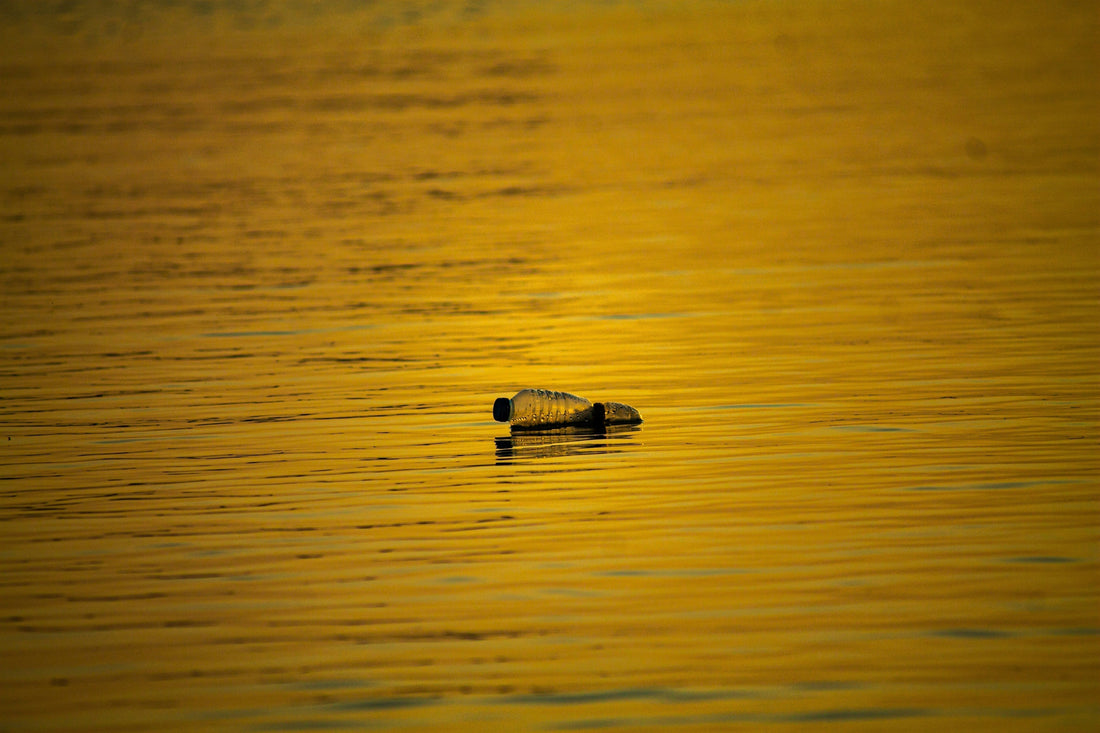 Contaminación del agua: causas, consecuencias y soluciones reales