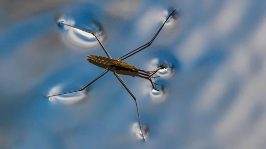 Propiedades físicas y químicas del agua explicadas fácil
