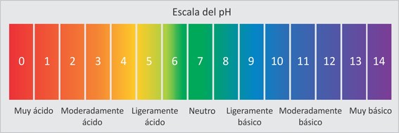 pH: qué es y por qué solo las soluciones con agua tienen pH