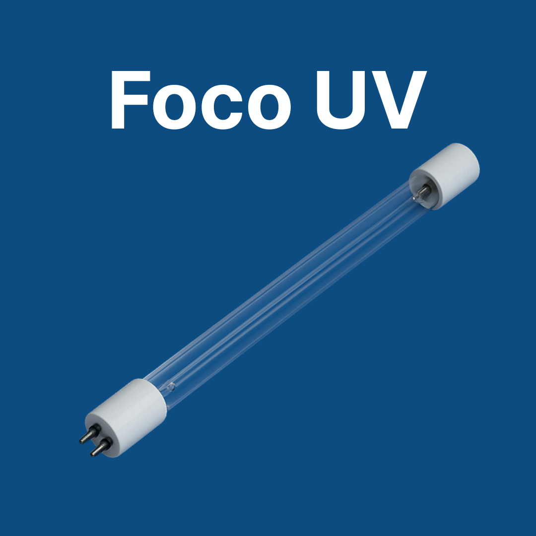 Foco Ultravioleta