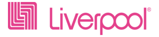 Icon 13